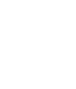 shape not found