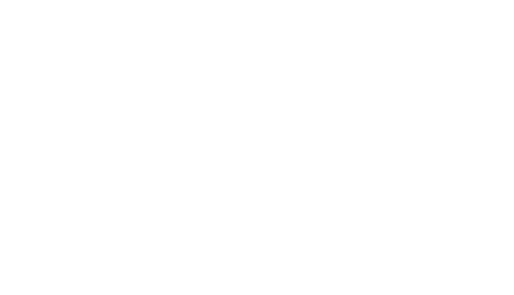 img not found